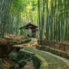 李建