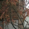 珍馨布艺