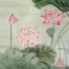 夏日琰琰