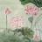夏日琰琰