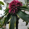 春暖花开
