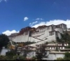 周建新