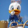 卢某某不会飞