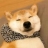 皇浦藏个高尔琦????