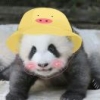 粒粒