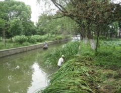 五水共治 河道整治