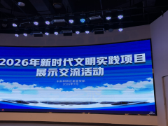 文明实践项目展示交流活动招募