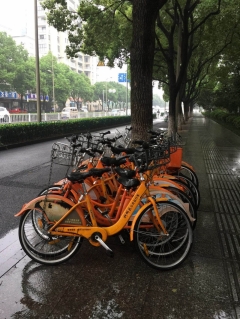 文明劝导