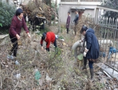 百福园社区—环境卫生整治