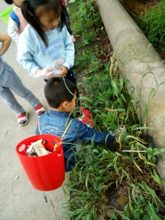 夏履镇中心幼儿园开展小小环保员护树活动
