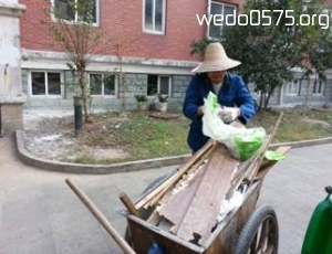 柯桥街道育才社区环境整治活动（一）