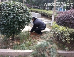 柯桥街道育才社区美化小区环境---花坛绿化志愿活动