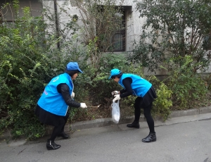 柯福社区在职党员志愿者环境整治活动