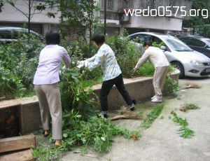 柯亭社区环境卫生志愿服务第一期