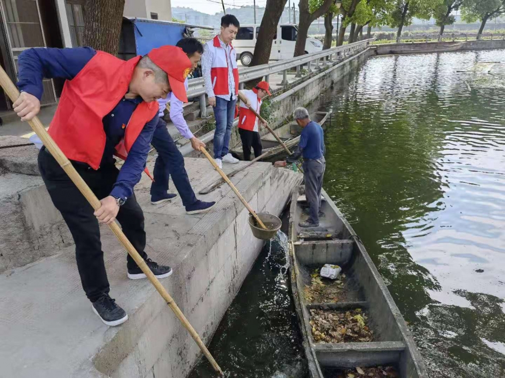 集中志愿活动