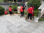 巾帼志愿者开展环境卫生整治