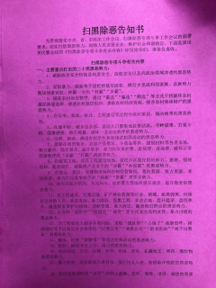 扫黑除恶宣传志愿活动