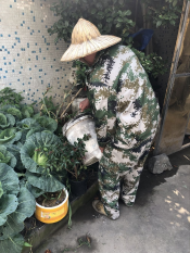 园里湖居翻盆倒罐志愿者招募
