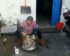 帮助孤寡老人打扫卫生