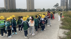 “一株稻穗的旅行”展望村儿童农事科普志愿活动