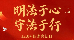 展望村12.4国家宪法日宣传活动