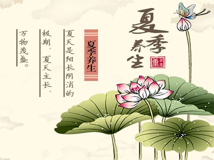 炎炎夏日 健康养生
