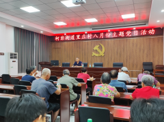 主题党日活动——中央八项规定精神内容解读
