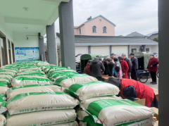  江桃村“暖冬助老 共庆丰年”油米发放活动