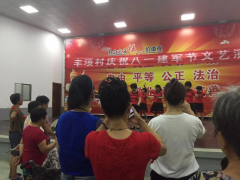 丰项村八一建军节开展文艺演出