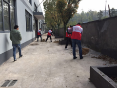 丰项村党员志愿活动