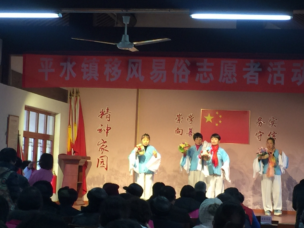 平水镇移风易俗志愿者活动