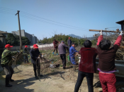 全体党员进行村容村貌整改