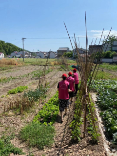 新横溪村禁种铲毒情况巡查