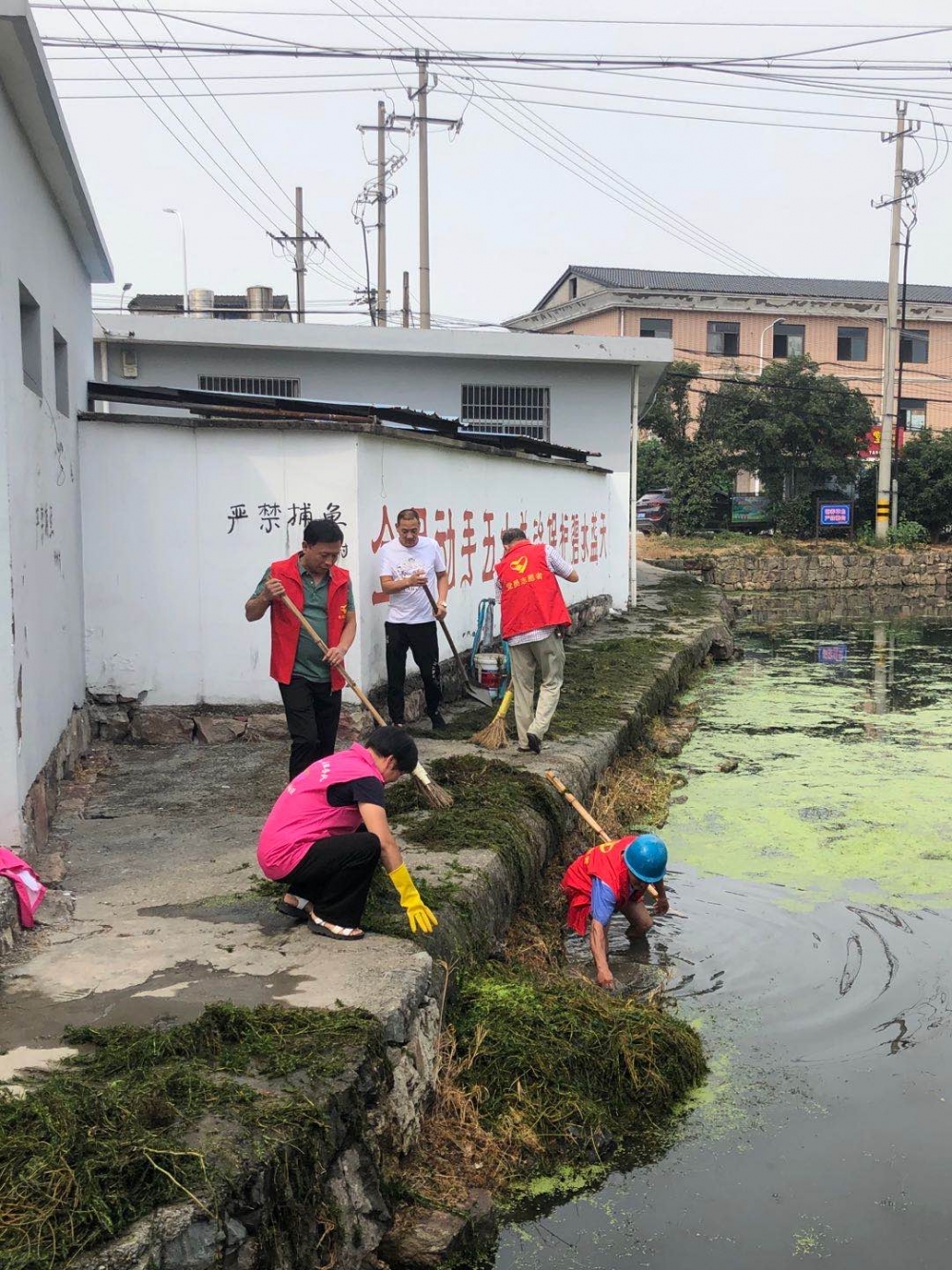 清理漂流物，守护美丽水塘