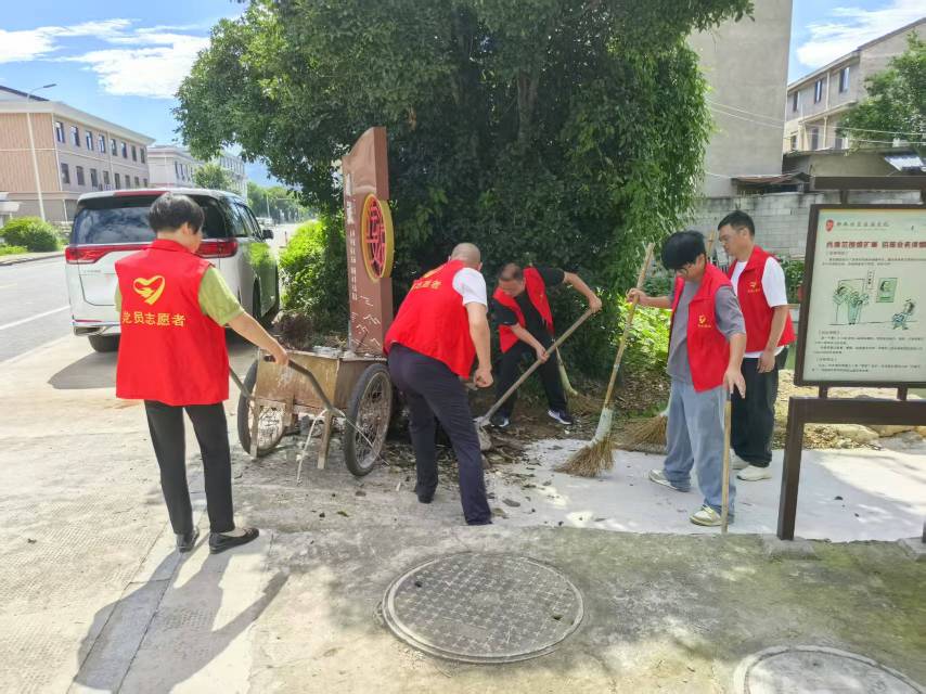 党员志愿者环境整治活动