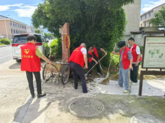 党员志愿者环境整治活动