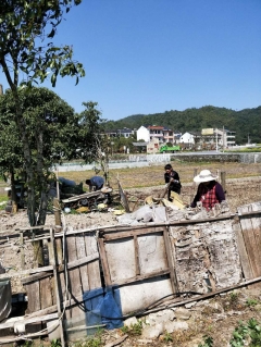 创建整洁田园