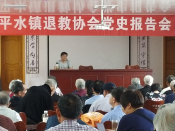 平水镇退教协会党史学习志愿活动