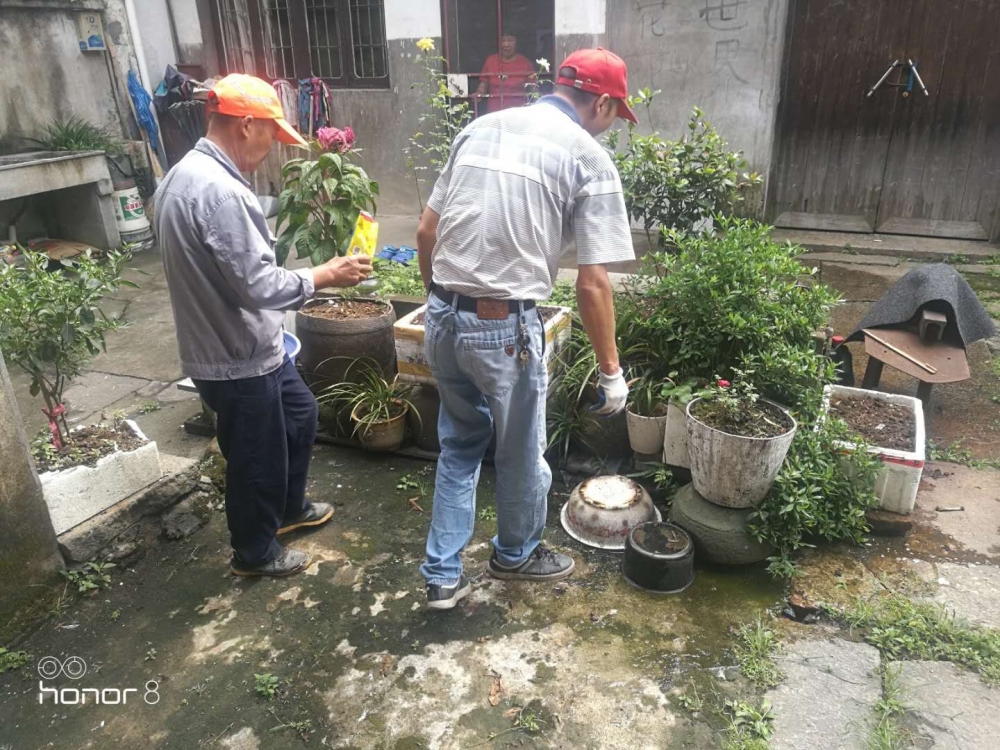 平水街社区清理积水容器志愿活动
