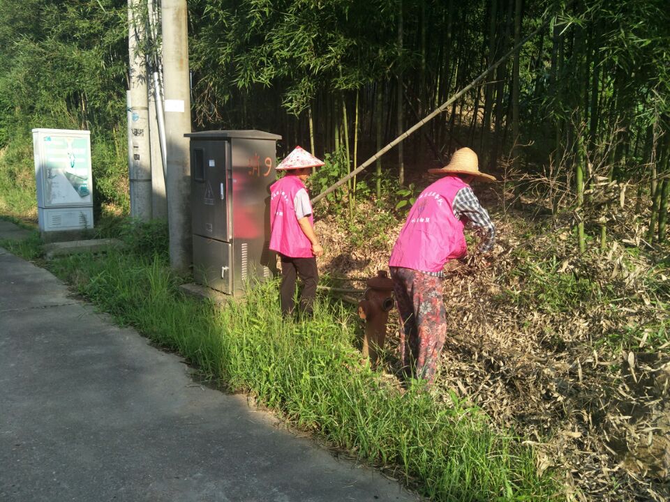 王化村环境卫生整治