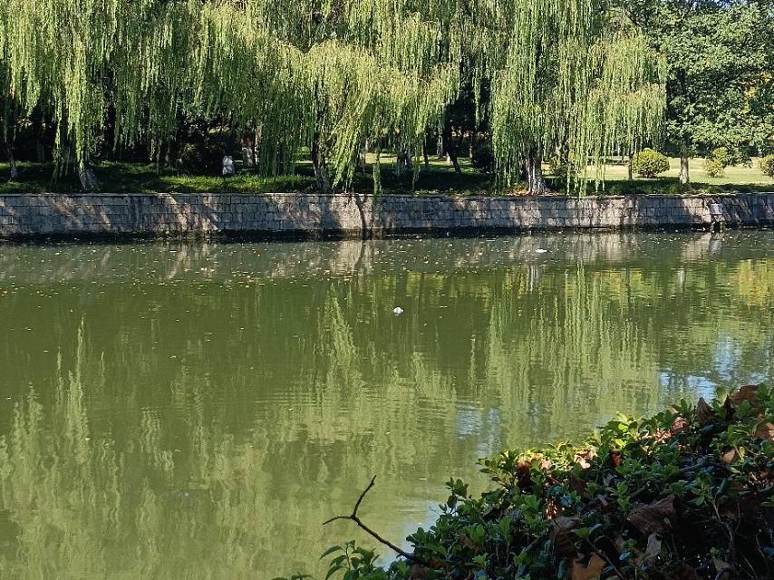 浙东古运河巡查