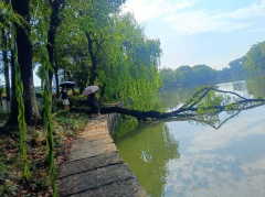浙东古运河志愿巡查活动