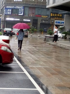 礼让斑马线 文明劝导