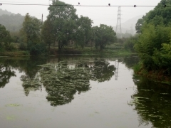 河道巡查