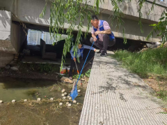 清理福寿螺志愿活动