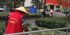 环境美化