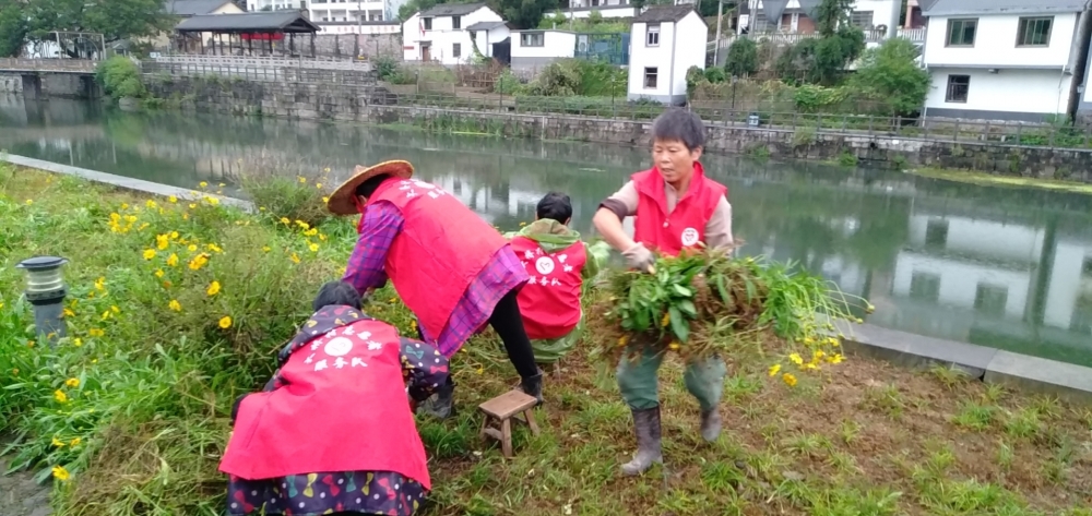 志愿者拔草活动