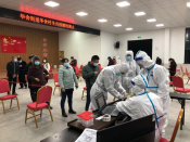 全员核酸检测志愿者活动