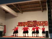 “我们的中国梦——文化进万家”金山村村晚