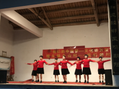 “我们的中国梦——文化进万家”金山村村晚